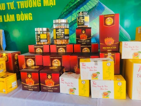 Thư viện hình ảnh Hoàng Nguyên Garden 15